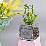 Get Well Soon Flowers With Plant