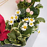 Guy Laroche Mop Crystals Necklace For Her