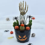 Halloween Theme Plant