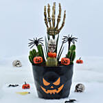 Halloween Theme Plant