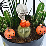 Halloween Theme Plant