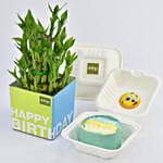 Happy Birthday Lunch Box Chocolate Cake with Lucky Bamboo