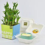 Happy Birthday Lunch Box Chocolate Cake with Lucky Bamboo