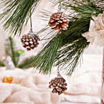 بوكس ورد و شوكولاتة الكريسماس