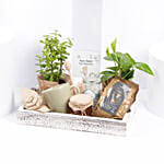 Housewarming Wishes Gift Hamper
