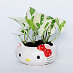 Joy Plant In Hello Kitty Pot