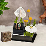 Just Cavalli Signature Snake Design Luxury Watch Gift Tray For Her