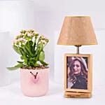 Kalanchoe Plant with Photo Lamp
