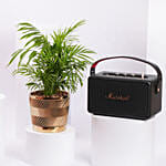 KILBURN III BLACK AND BRASS