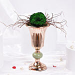 مزهرية وردة خضراء