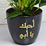 نبتة أنطور جميلة في وعاء سيراميك أسود عليه عبارة أحبك أبي