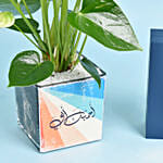 نبتة الأنثوريوم البيضاء في أصيص زجاجي مخصص مع عطر