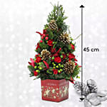 شجرة الكريسماس المزينة مع ثمار بلوط وأوكالبتوس مطلية