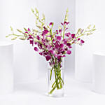 Mesmerizing Pink Orchids