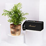 MIDDLETON II BLACK AND BRASS