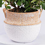 Mom If You Were A Flower Azalea Plant