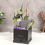 Moments Wallace & Co Gift Tray