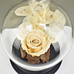 Peach Forever Rose In Glass Dome