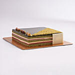 Pistachio Exotique Cake 4 Portion