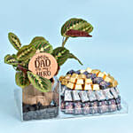 Premium Chocolates and Plant
