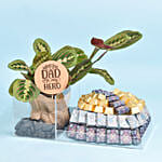 Premium Chocolates and Plant