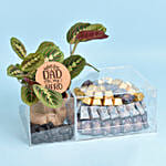 Premium Chocolates and Plant