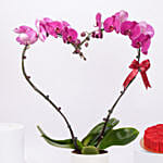 Purple Heart Orchid With Cake