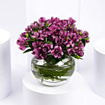 Purple Peruvian Lily Arrangement