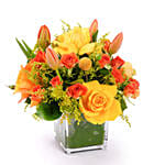 Radiant Joy in a Glass Vase