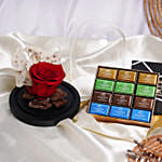 Red Forever Rose with Godiva Naps Chocolate