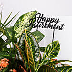 Retirement Wishes Plants Garden