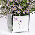 September Birthday Aster Flowers in Vase