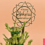 Set of 5 Rakhi with Lucky Bamboo Plant