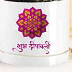 Shubh Diwali Echeveria Plant