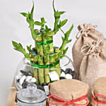 Snack Treat with Bamboo