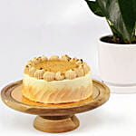 Sugar Free Butterscotch Cake and Plants