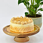 Sugar Free Butterscotch Cake with Plants