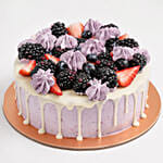 Sugar Free Vanilla Berry Delight- Half Kg