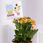 Thank You Plant And Diary For Teacher