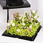 The Graduate Green Glory