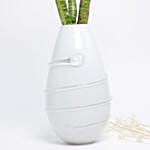 Thick Lucky Bamboo Sticks In White Vase
