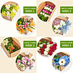 Twice A Week Flower Subscription