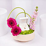 Vega Pave Diamond Evil Eye Necklace With Italian Anchor Chain