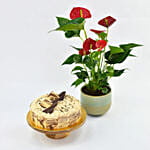 Vegan Butterscotch Cake 8 Portions with Plant