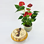 Vegan Butterscotch Cake 8 Portions with Plant