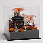 Versace Crystal Noir Perfume And Flower For Her