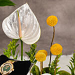 ساعة شيروتي ذهبية فاخرة في بوكس ورد مع أنثوريوم