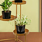 Welcome Good Luck To Home Plant Stand