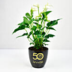 White Anthurium National Day Planter