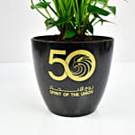 White Anthurium National Day Planter